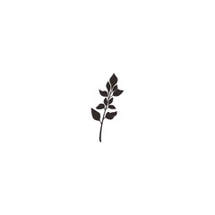 botanical plants, herbs, and wildflowers