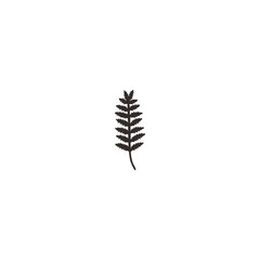 botanical plants, herbs, and wildflowers