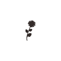 botanical plants, herbs, and wildflowers