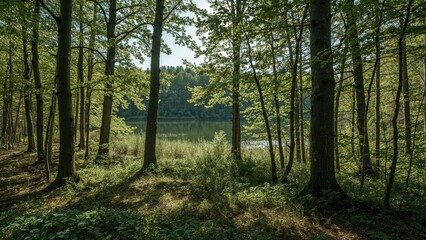Obraz premium Lakeside taiga landscape during the spring season