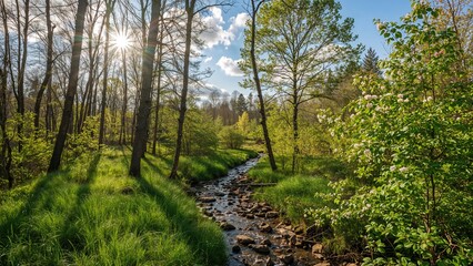 Fototapeta premium Spring landscape showcasing a flowing stream in the woods