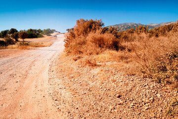 Empty gravel road on the Akamas Peninsula on a hot day. The road leads to the famous Lara Beach,...
