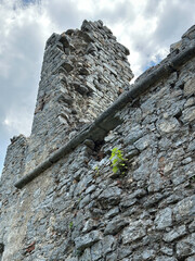 Ruins of an old European castle with weathered stone walls and medieval architecture, surrounded by...