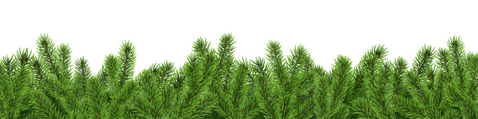 Christmas tree border, fir branch banner, pine background