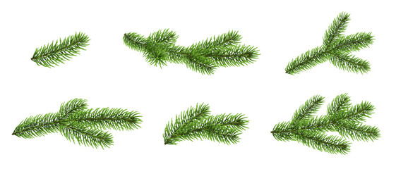 Fir branch set, Christmas tree branches, pine, spruce twig