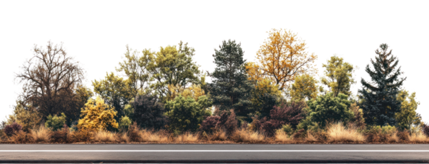 PNG Real asphalt road trees landscape scenery.