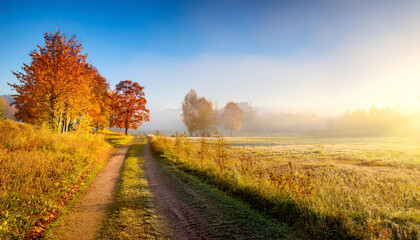 Feldweg morgens im Herbst 
