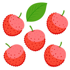 Vibrant Lychee Fruit Illustration A Collection of Fresh Lychees and a Green Leaf Perfect for Tropical Fruit Lovers and Healthy Eating Enthusiasts on a White