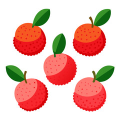 Five Lychee Fruits with Green Leaves Arranged on a White Background Displaying Variations in Color from Light Pink to Orange Representing a Simple Fresh and