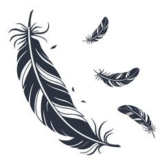 Obraz premium vector illustration of feathers