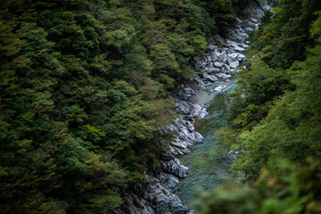 Oboke-Iya Gorge Trail in Tokushima Prefecture, Japan
