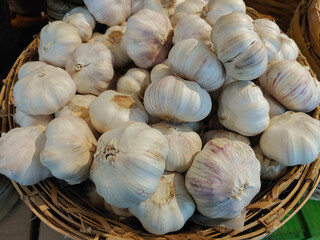 Fresh garlic bulbs piled up on the wicker basket for sale at a market