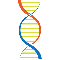 Dna Chain Vector