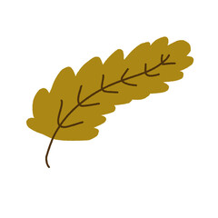 yellow leaf isolated on white background