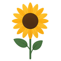 Fototapeta premium Vibrant single sunflower with dark center and green leaves, isolated on white.