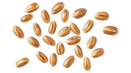 Obraz premium Raw pumpkin seeds in pile and scattered isolated on white background
