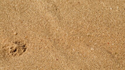 Children enjoy playing with kinetic sand, a creative compound made using wheat flour, baby oil, and food coloring