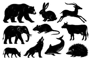 Wild Animal Brush Illustration Set – Monkey, Elephant, Bear, Kangaroo, and Wildlife Mammals in Ink Drawing Style