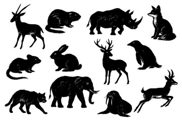 Wild Animal Brush Illustration Set – Monkey, Elephant, Bear, Kangaroo, and Wildlife Mammals in Ink Drawing Style