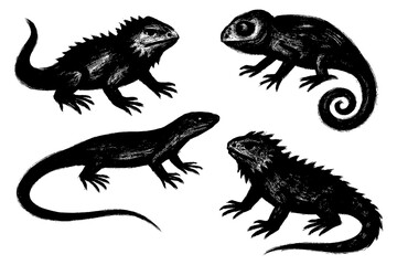 Lizard and Reptile Brush Illustration Set – Dynamic Iguana, Gecko, and Snake in Ink Style for Nature and Wildlife Design