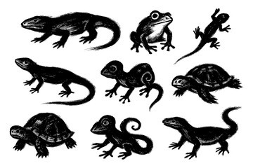 Lizard and Reptile Brush Illustration Set – Dynamic Iguana, Gecko, and Snake in Ink Style for Nature and Wildlife Design