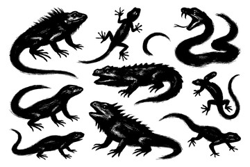 Lizard and Reptile Brush Illustration Set – Dynamic Iguana, Gecko, and Snake in Ink Style for Nature and Wildlife Design