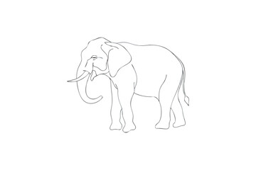 Fototapeta premium Elegant Elephant Line Art Illustration for Coloring Books and Creative Projects on a White Background