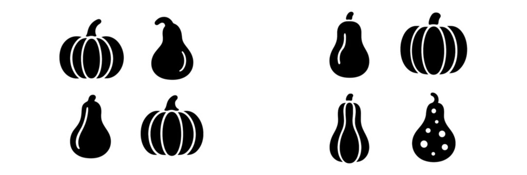 Illustration of various pumpkins and gourds arranged on a white background for autumn and harvest themes