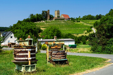 Historische Obst- und Weinpressen in Neipperg