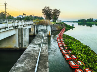 Obraz premium Water hyacinth float on river protected by buoys. Buffer zone from water hyacinth. Floating equipment across waste and weed on water. Water hyacinth and waste protection buoys for irrigation and dam