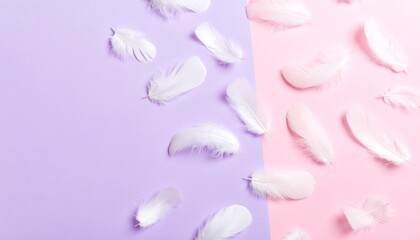 Soft, white feathers on two pastel colors