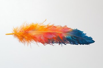 Colorful feather art on white background, vibrant plumage design, quill texture, avian elegance