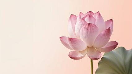 Obraz premium Flower-inspired surface texture