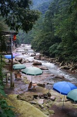 mountain river in the mountains