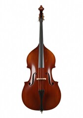 Obraz premium Double Bass on white background isolated