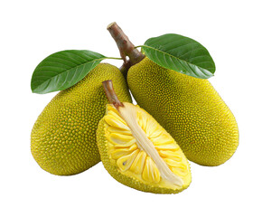 Fresh jackfruit composition with leaves and cut half displaying seeds on transparent background