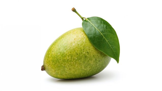 Full Depth of Field Image of Mango Yawning Lime Boo and Carissa carandas Linn, Karanda, Carunda on White