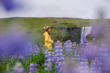 An Asian woman traveler in a bright yellow raincoat admires the majestic Skogafoss waterfall,...