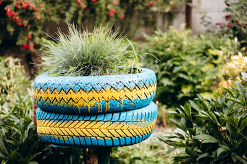 Organic plants grown in recycled tires in garden, sustainable gardening.