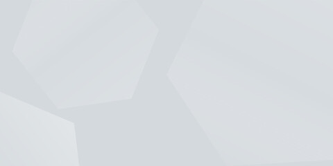 White background abstract art vector illustration with hexagon shape. modern art type2