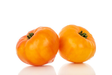 Yellow juicy tomatoes isolated on white background, close-up.