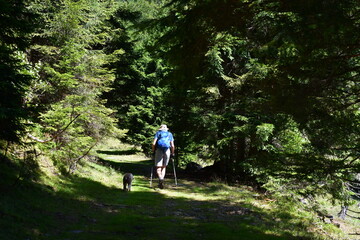 Mann und sein Lagotto Romagnolo Hund wandern bei Proveis in Südtirol 