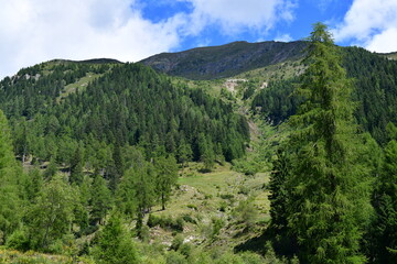 Schöne Landschaft bei Proveis in Südtirol 