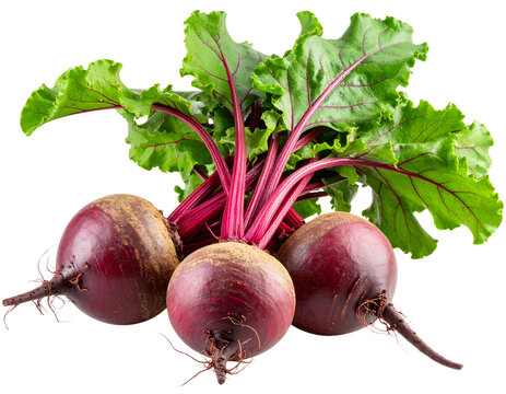  Fresh Whole Beetroot Isolated on White Background