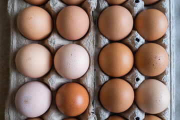 Fresh organic farm chicken eggs