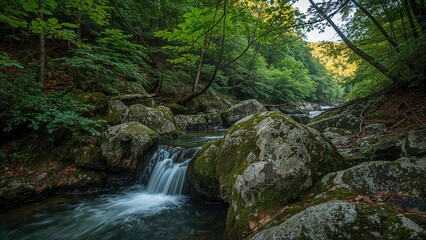 Obraz premium Tiny cascade on a gentle river stream