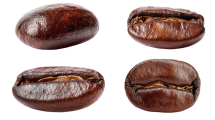 Diverse coffee beans, exploring four roasting levels and unique origins for the perfect cup