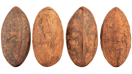 Four surfboards lined up on the beach, a colorful array ready to ride the waves four