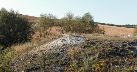 A dry landscape with a small hill covered in white ash. Surrounding vegetation includes sparse trees and dry grass