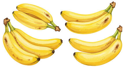 Realistic watercolor banana bunches: fresh yellow fruits with textured